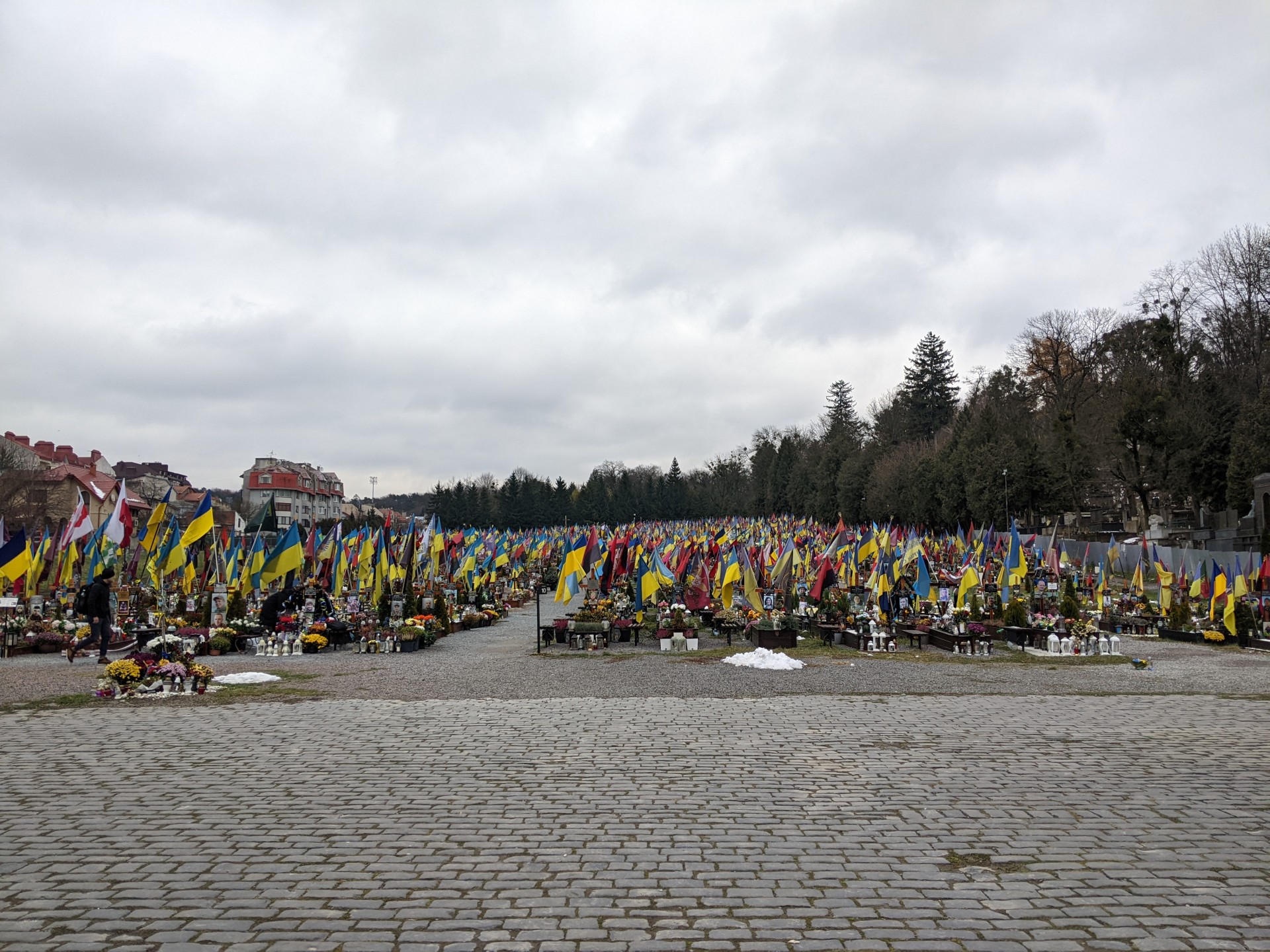 PXL 20251127 124104059