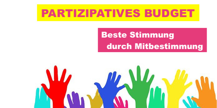 Icon Partzipatives Budget-695x348