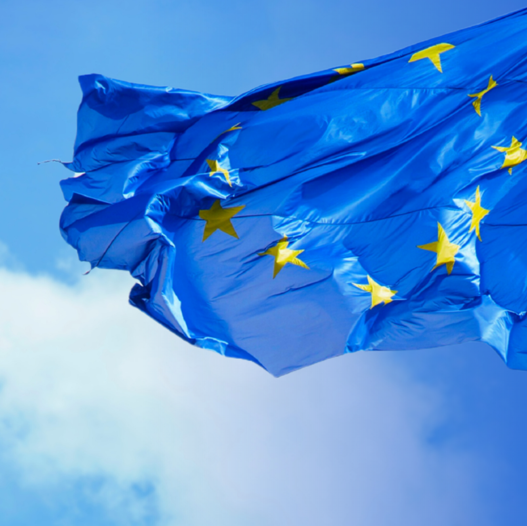 SUJET (Variation, leer) - Fragile Europe - NEOS Lab ELF Event-1081x1080