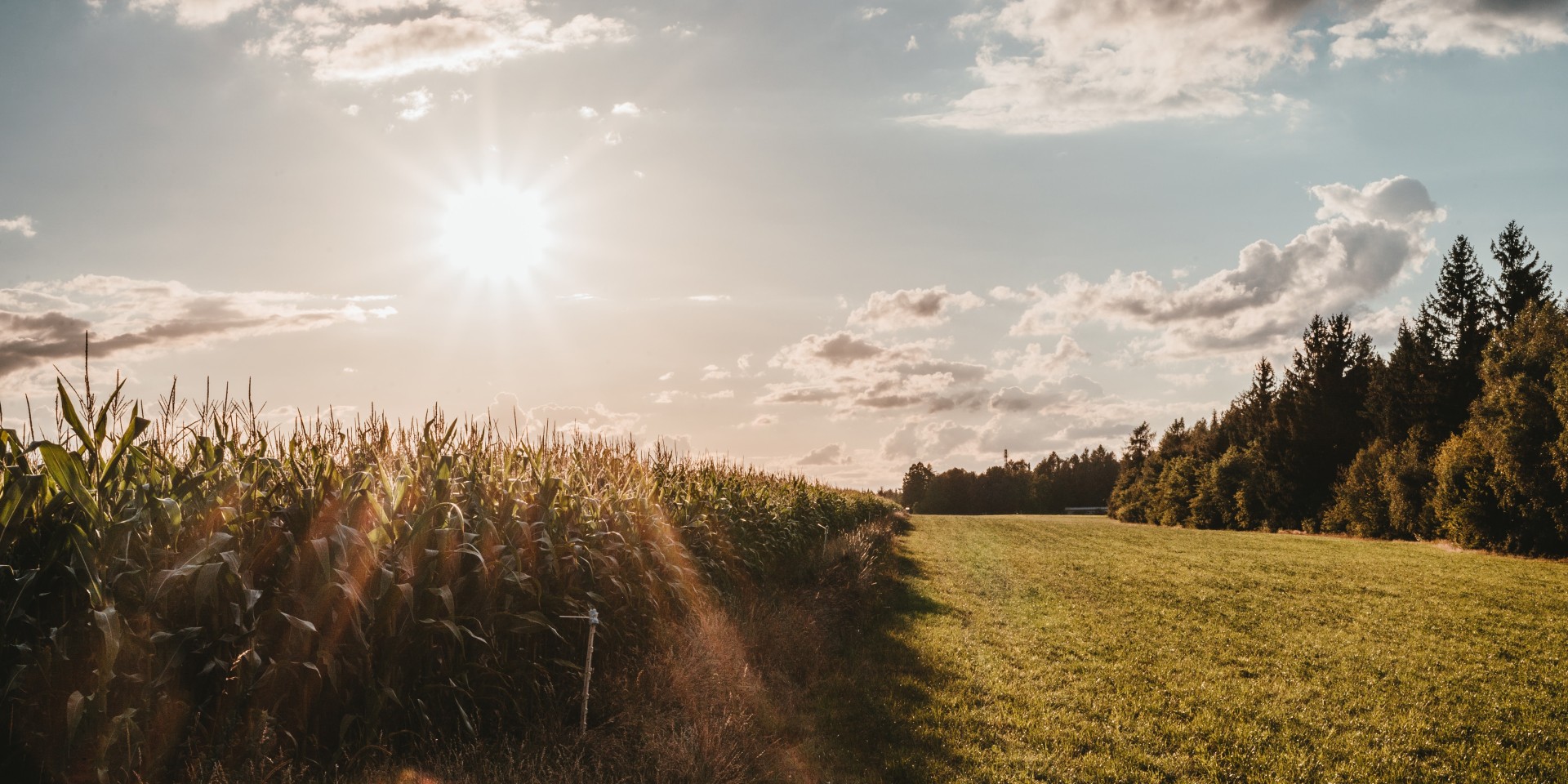 julian-hochgesang-i0noKR91EFM-unsplash-6000x2999
