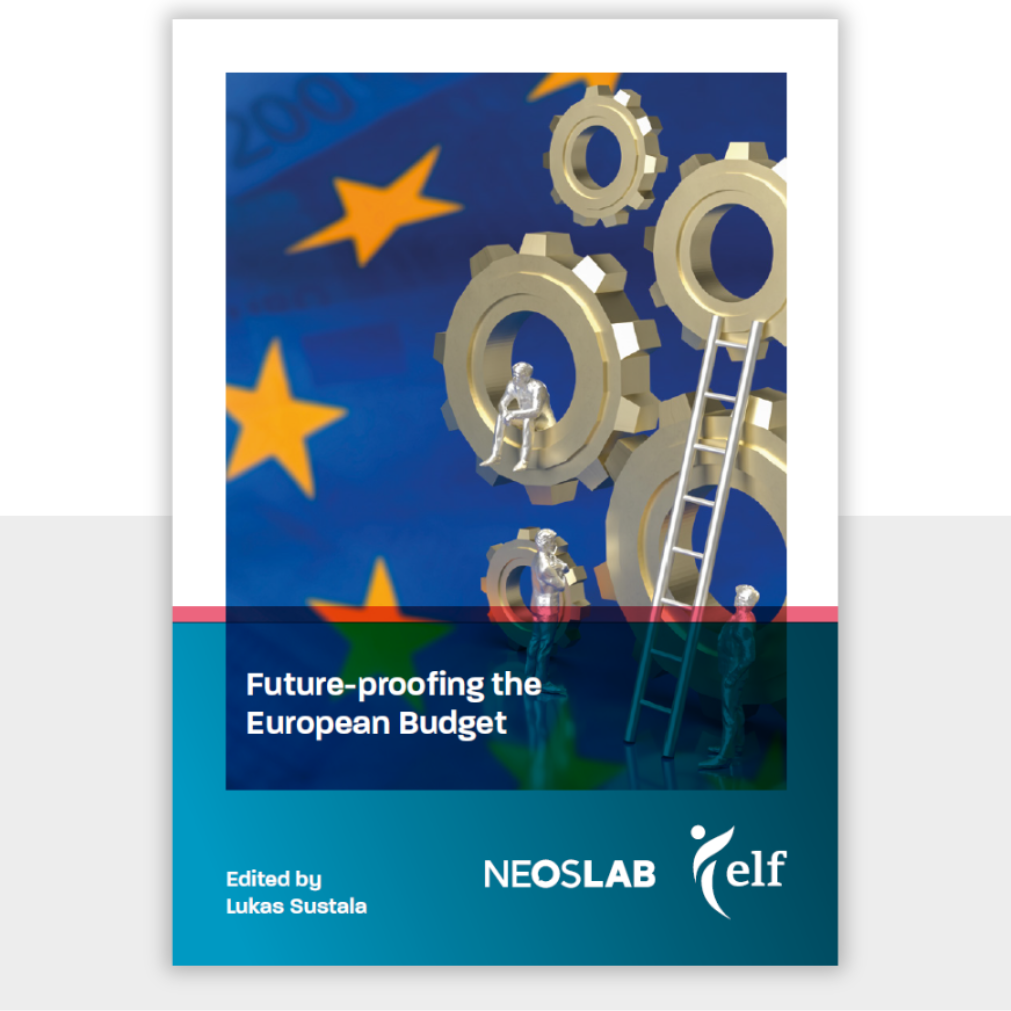 Teaser Website - Future-proofing the European Budget-1011x1011