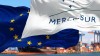 Eine EU-Flagge und eine Mercosur-Flagge vor einem Containerschiff
