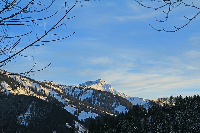 vorarlberg-2068506 640