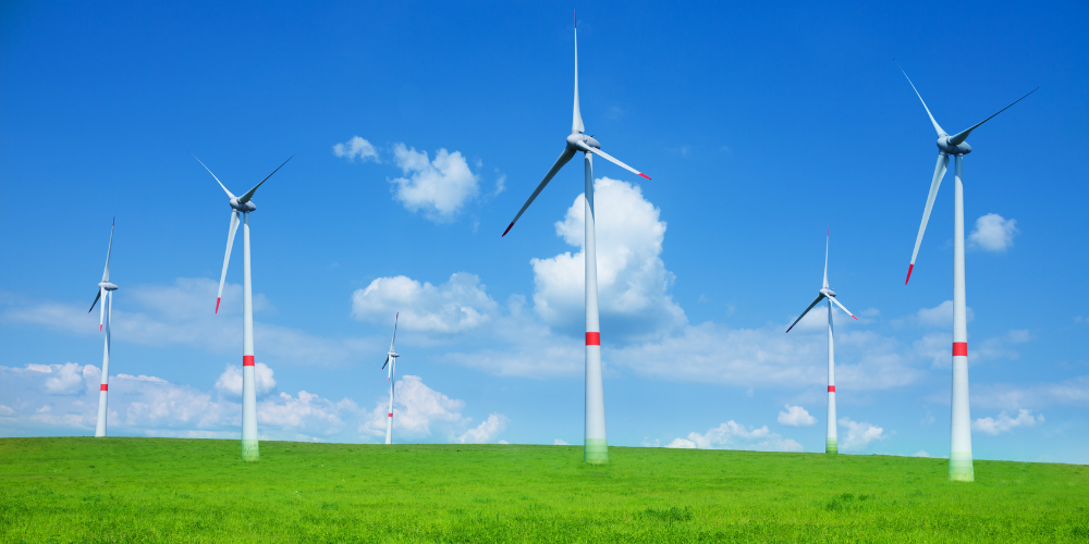 Design ohne Titel (47)