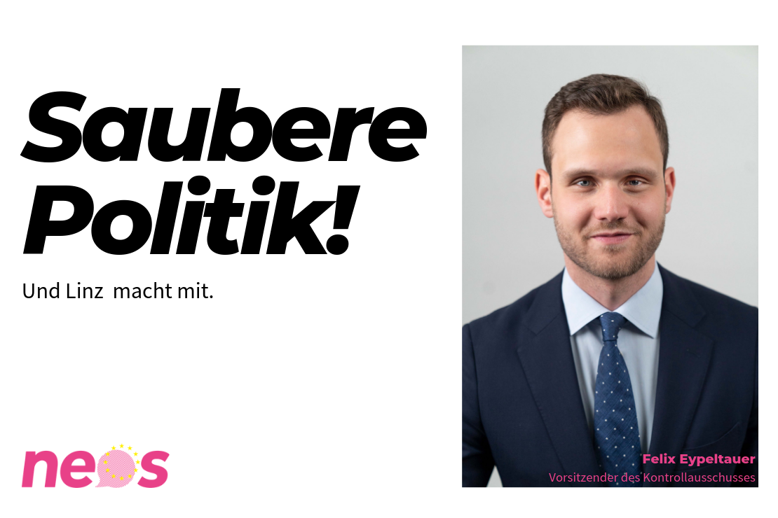 Saubere Politik