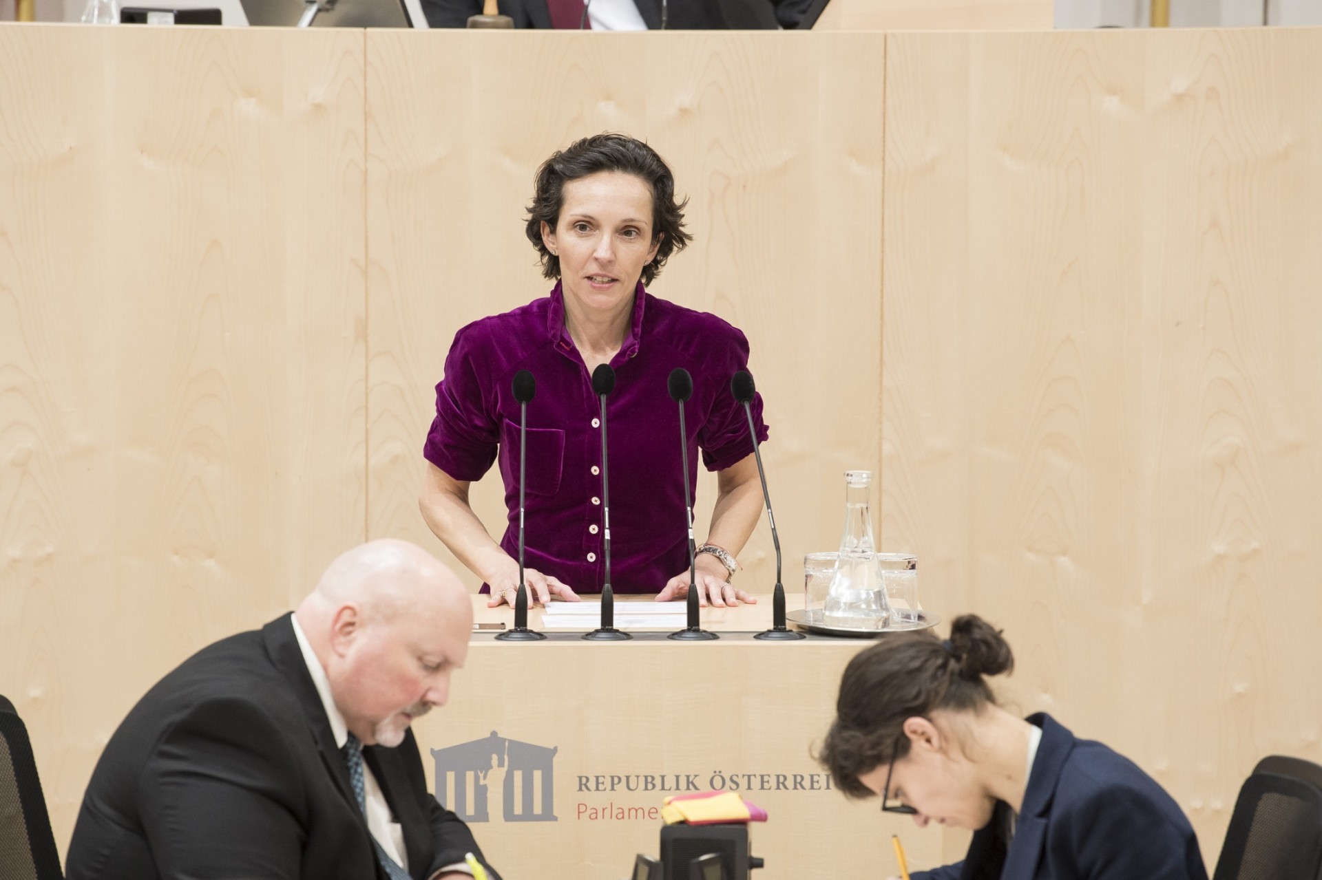 20191113-Rednerpultaufnahmen NR-Abgeordnete-JANTZEN DSC6027