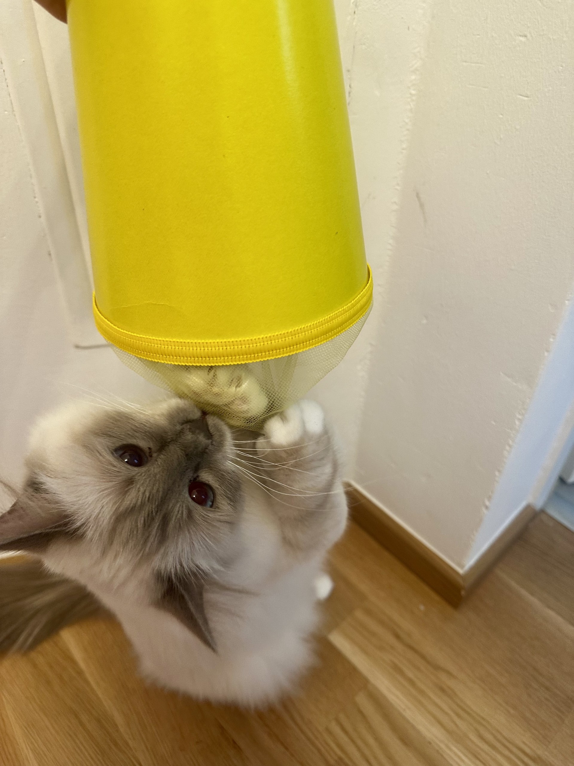 Schnurren aus dem Schulungsraum1