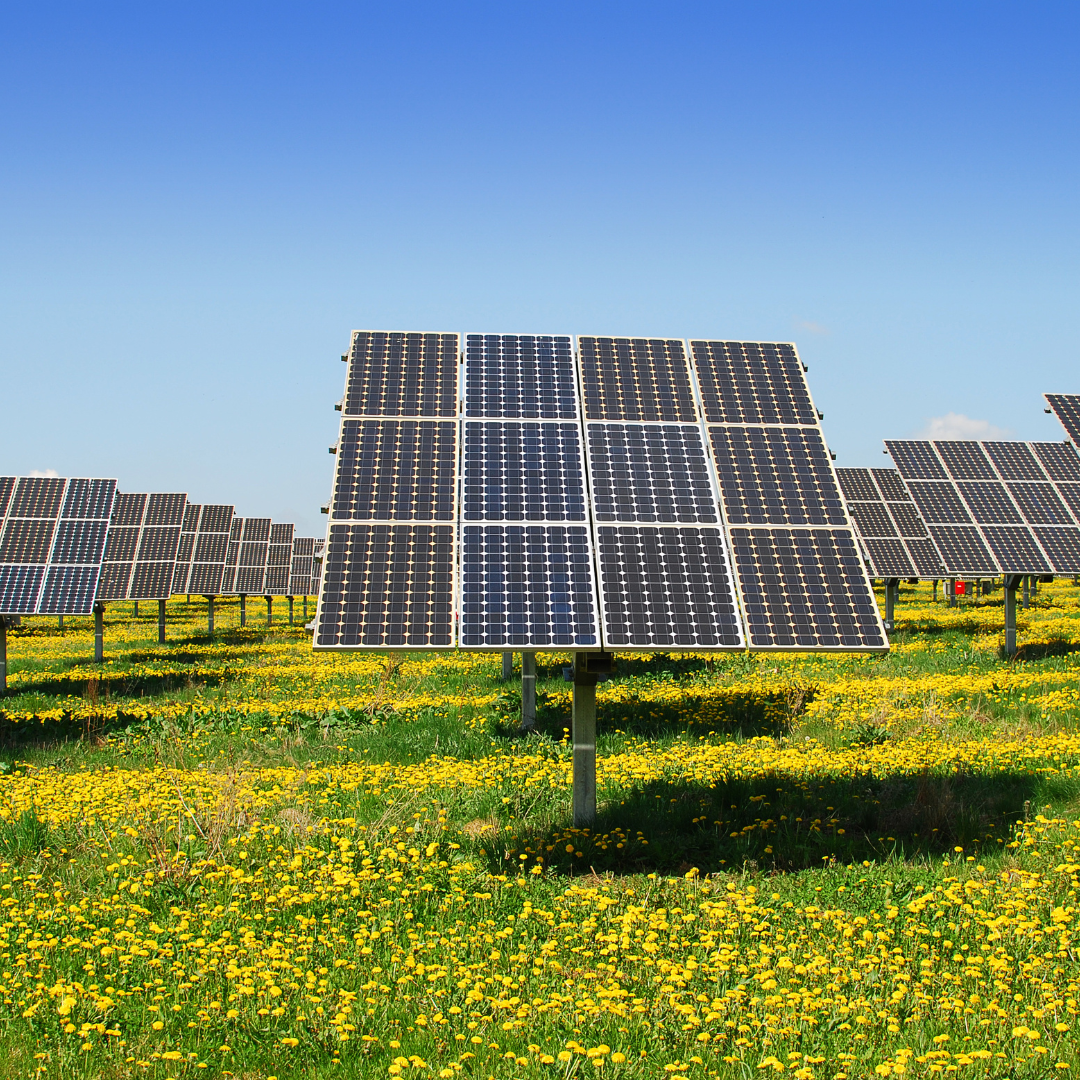Etwas mehr als Minimundus-PV-Anlagen