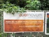 Plakat auernovum