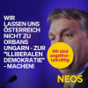 Wir lassen uns Österreich nicht zur illiberalen Demokratie machen