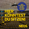 EU-Wahl 2024 Kandidatur - Hier könntest du sitzen