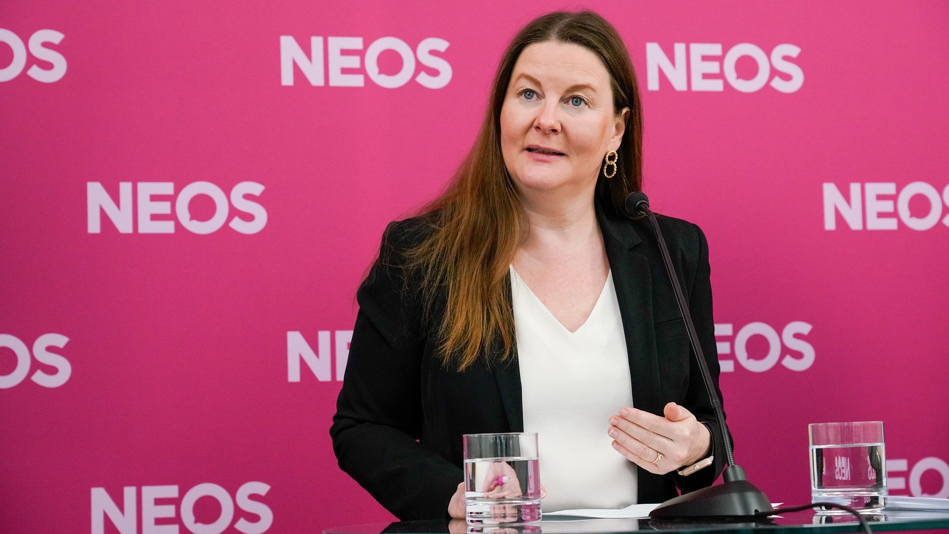 NEOS Karin Doppelbauer_PK.jpeg