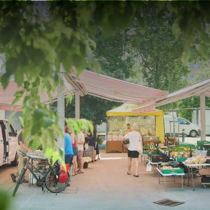 © Foto: Christopher Mavrič Marktstände mit Obst und Gemüse unter schattigen Bäumen am Volkertmarkt in der Wiener Leopoldstadt.