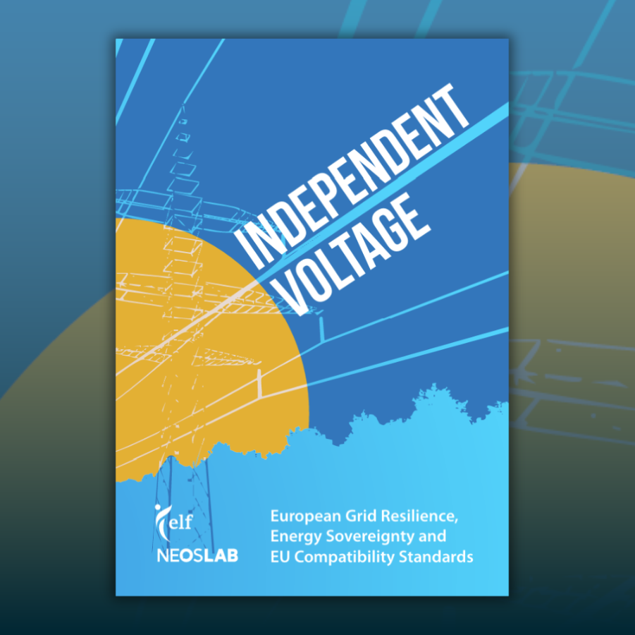 NEOS Lab Teaser - ELF Publikation independent voltage.png
