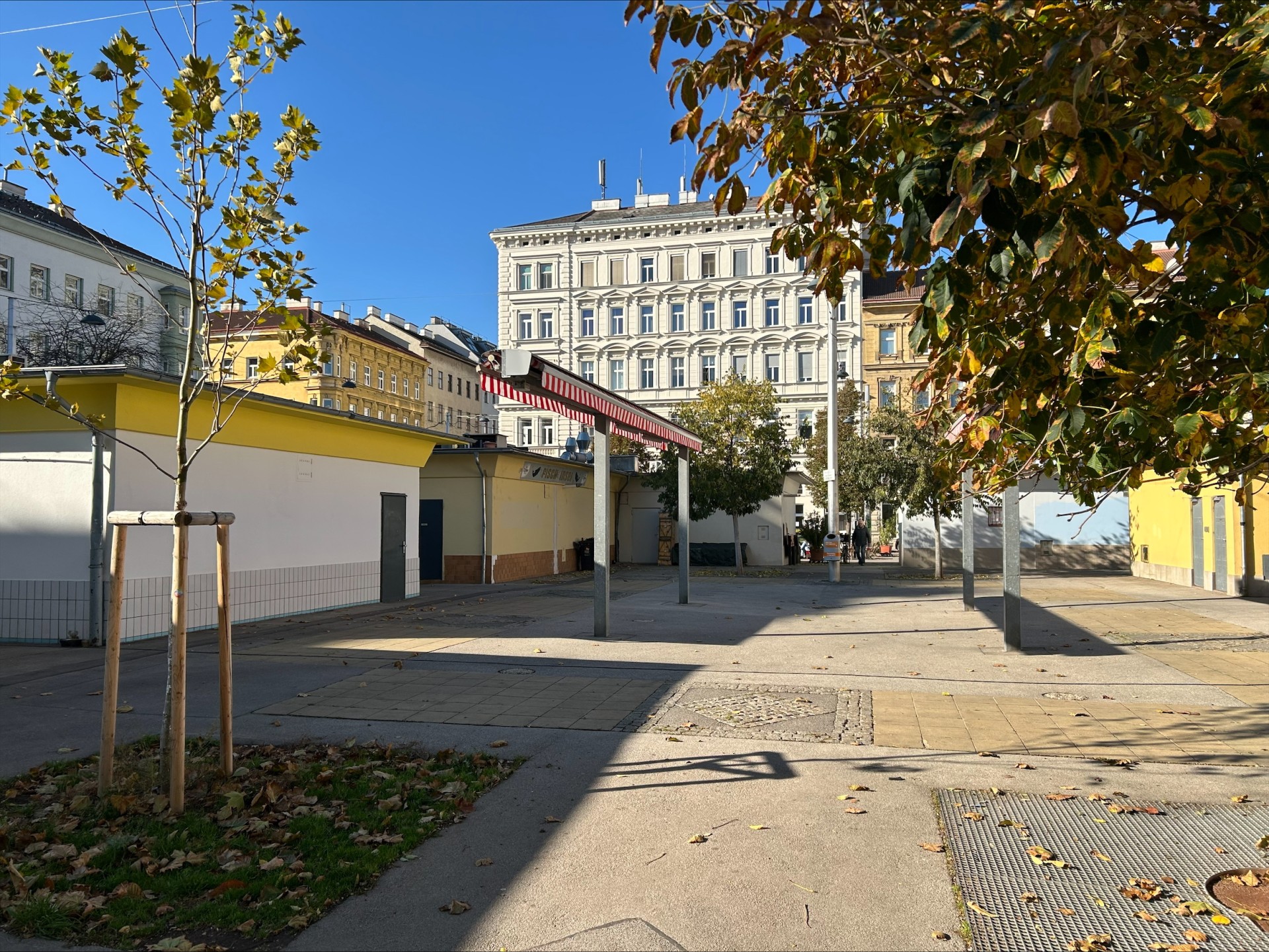 processed-3CF5D157-4110-4CC1-B4A1-C847138DB3F4