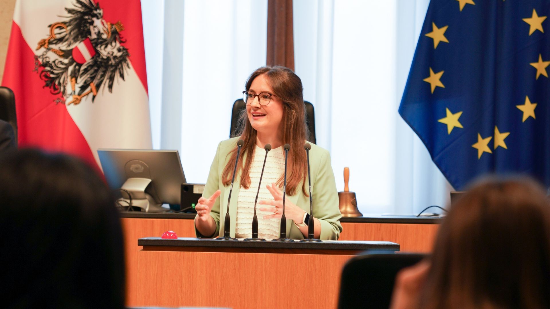 © NEOS Millionen für den Bundesrat - sinnvoll oder Geldverschwendung.jpg