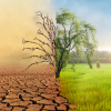 Großes Kino für den  Klimazielemonitor