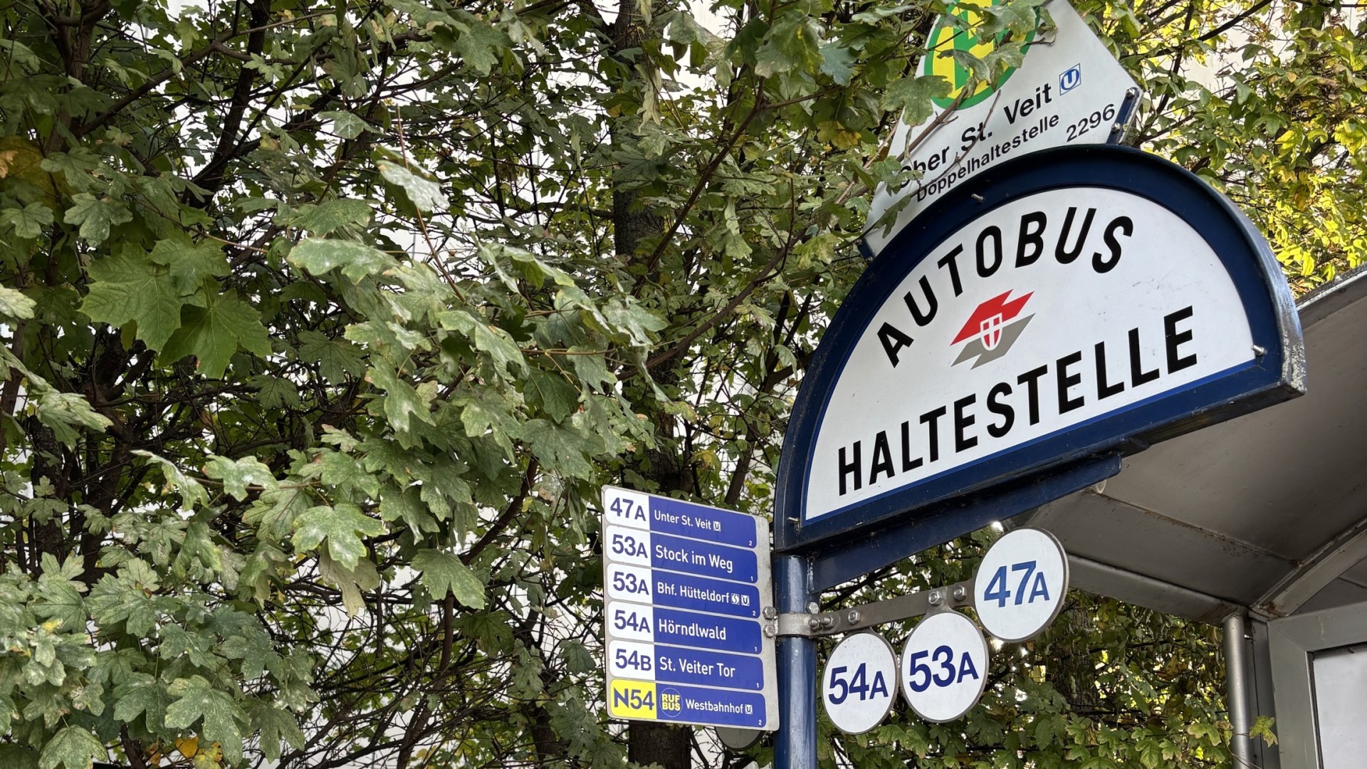 Buslinie Hietzing-2304x1296