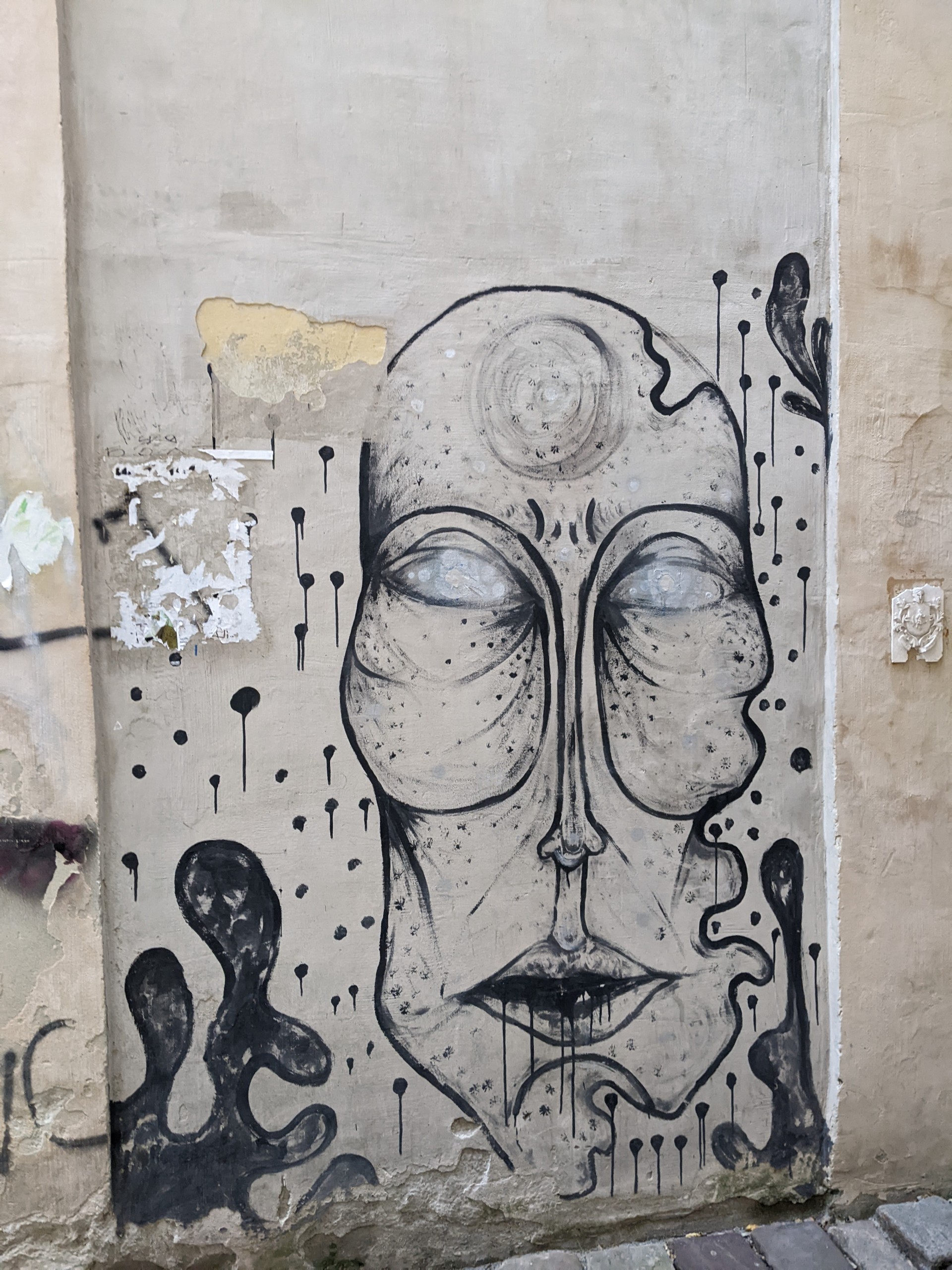 PXL 20251127 102658787