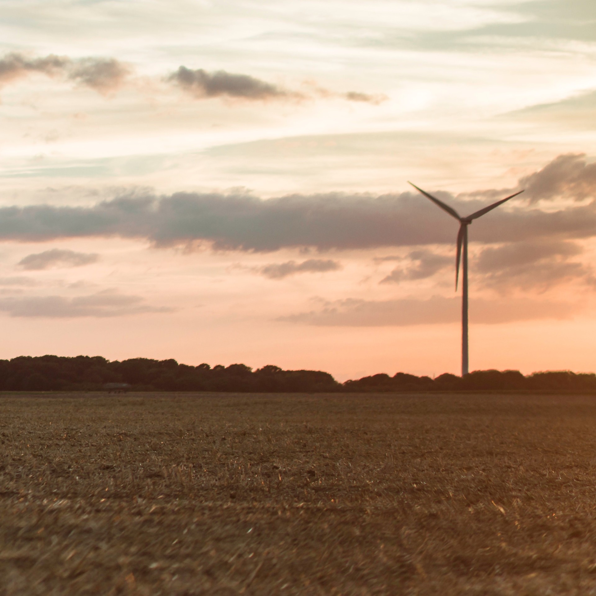 pexels-hasan-zahra-2118560-2870x2872