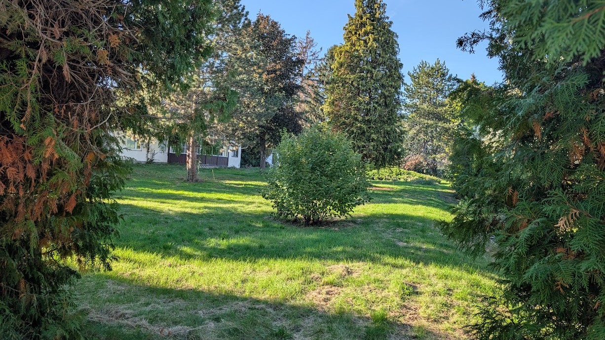 PXL 20260929 143016343 - Brosig vor der Verbauung-1226x689