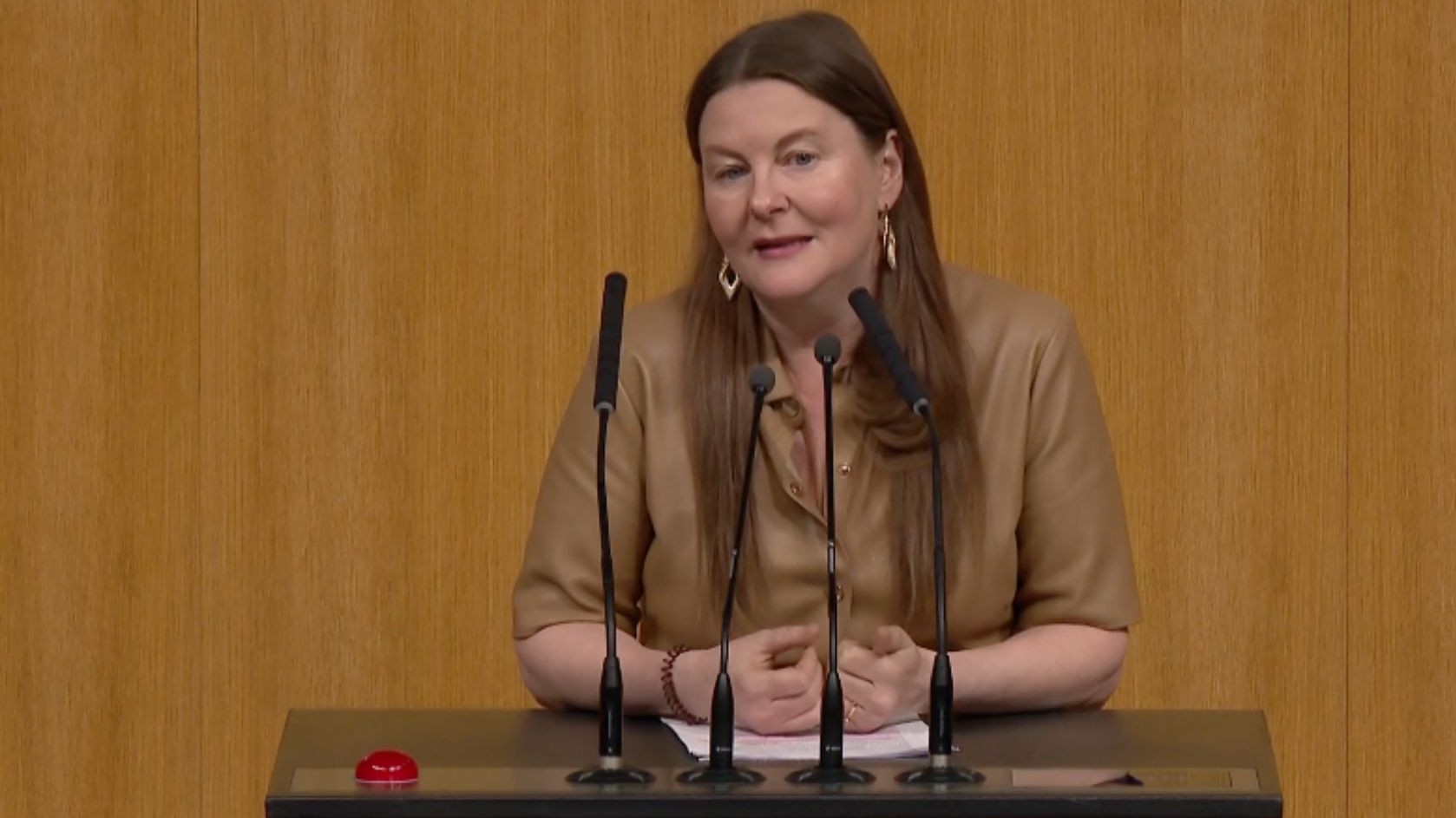 Karin Doppelbauer Billigstromgesetz.jpg