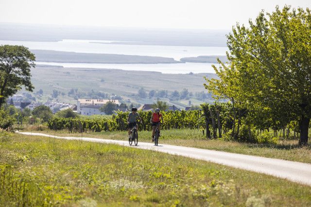 Eisenstadt Umgebung Feld und Fahrradfahrer auf einer Landesstraße