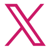 X Icon