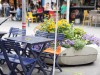 DSC00774-6235x4672