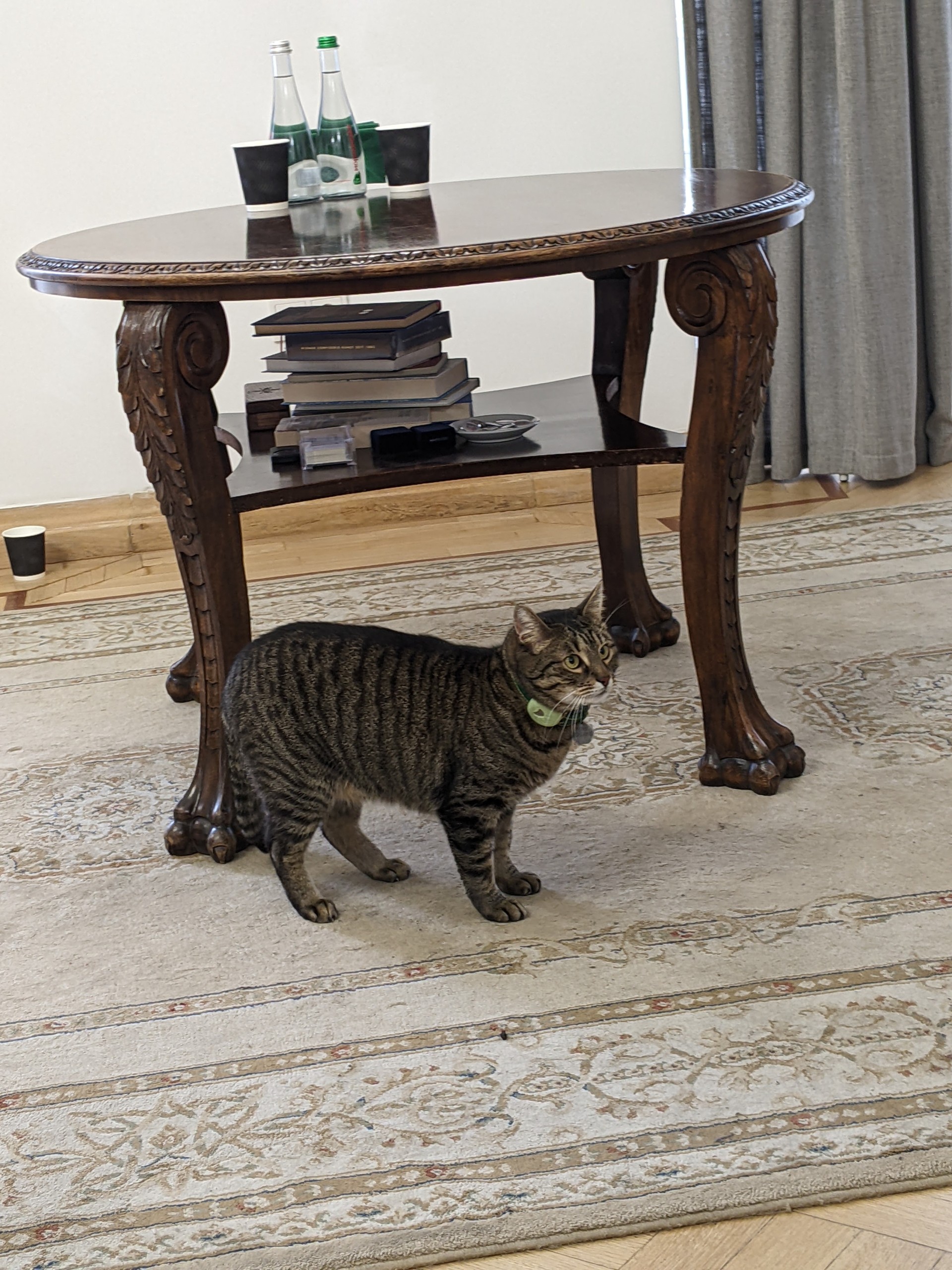 PXL 20251127 090113985