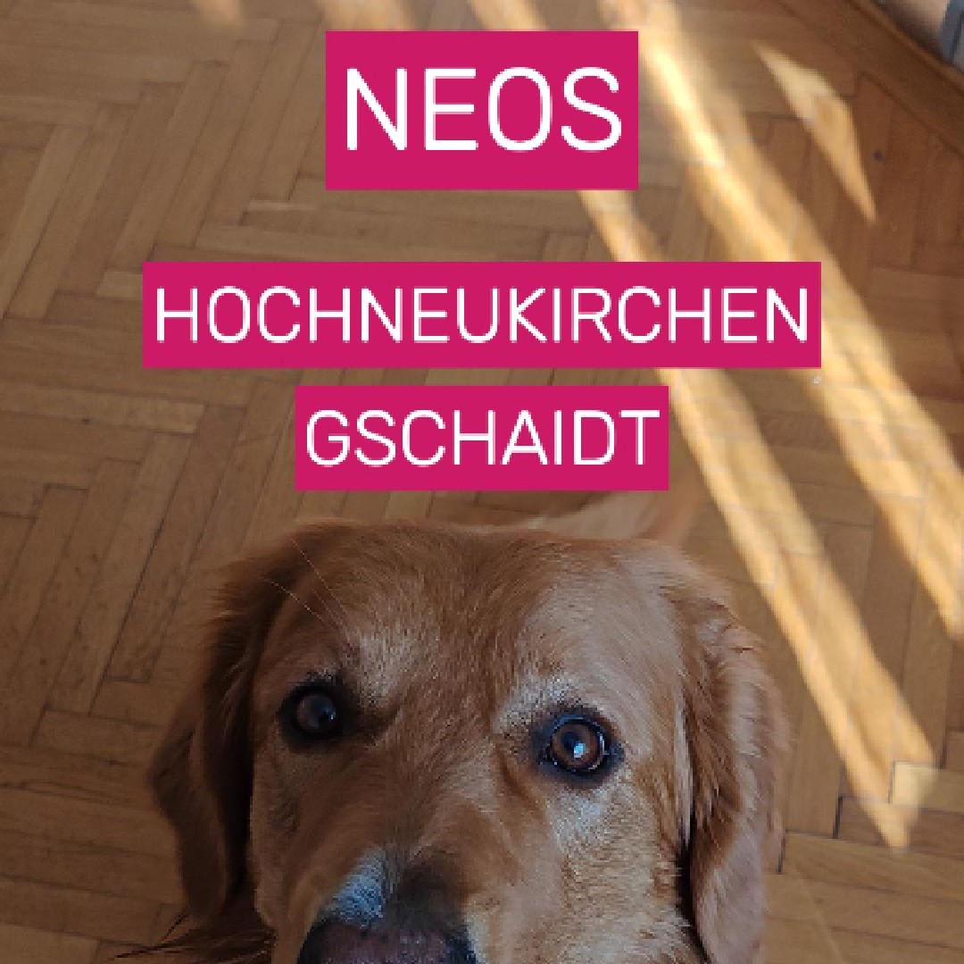 Dringlichkeitsantrag 01-25-Cover-1080x1079