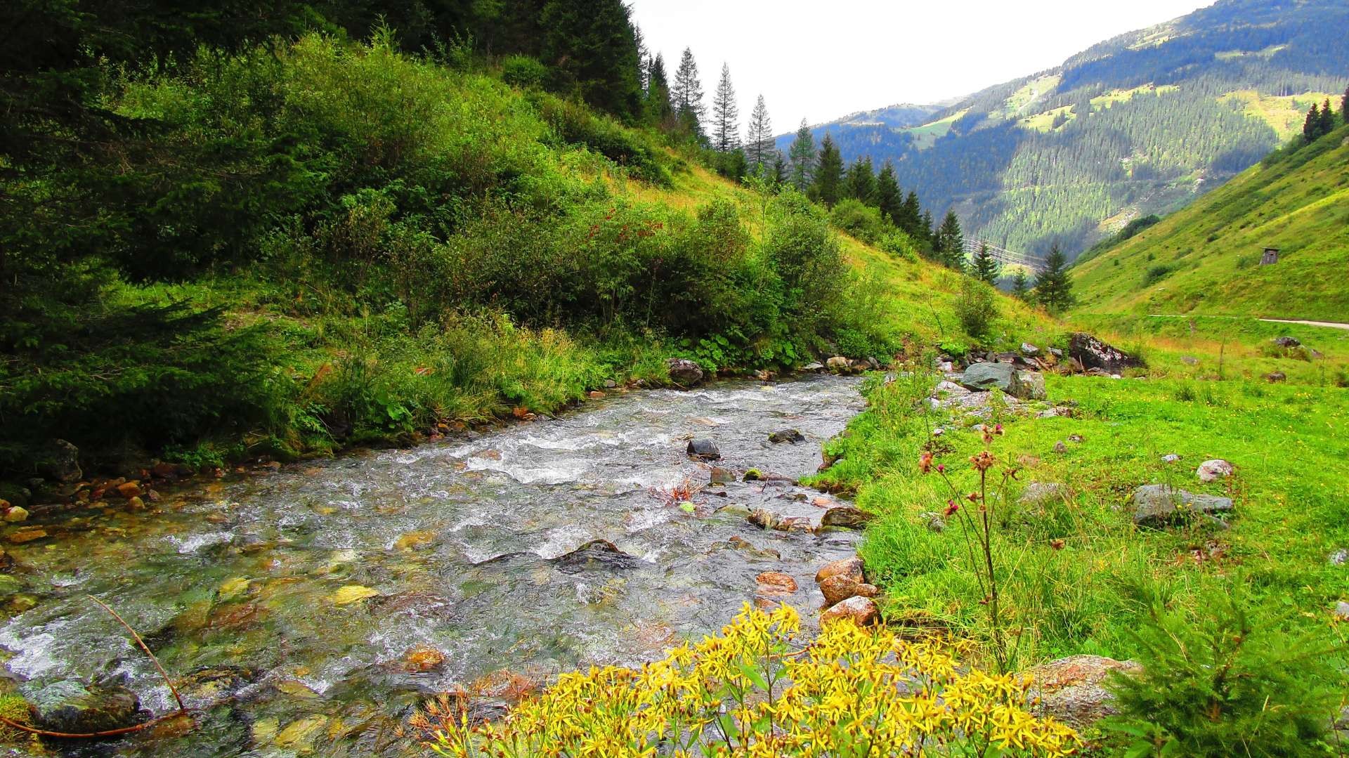 Biodiversitaet-in-Gefahr-Was-getan-werden-muss.jpg