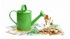 Grüne Budget-Bilanz