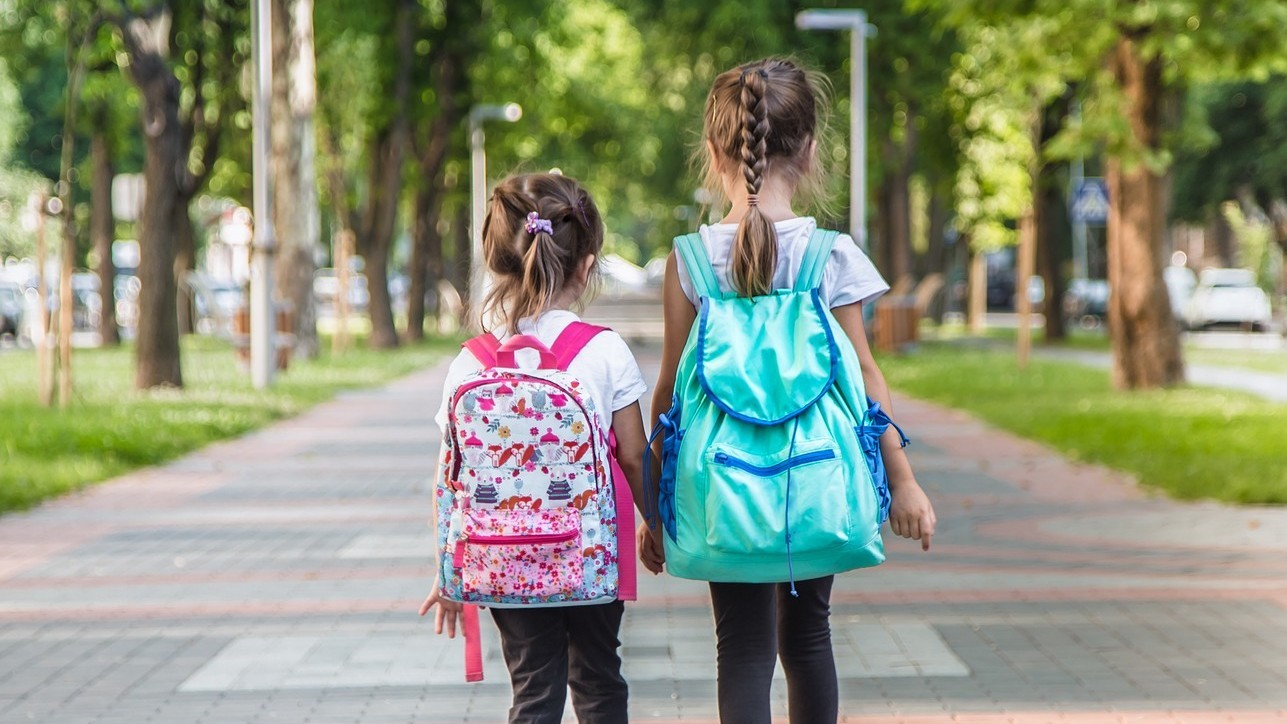 Stock Bildung10 compressed-1287x724