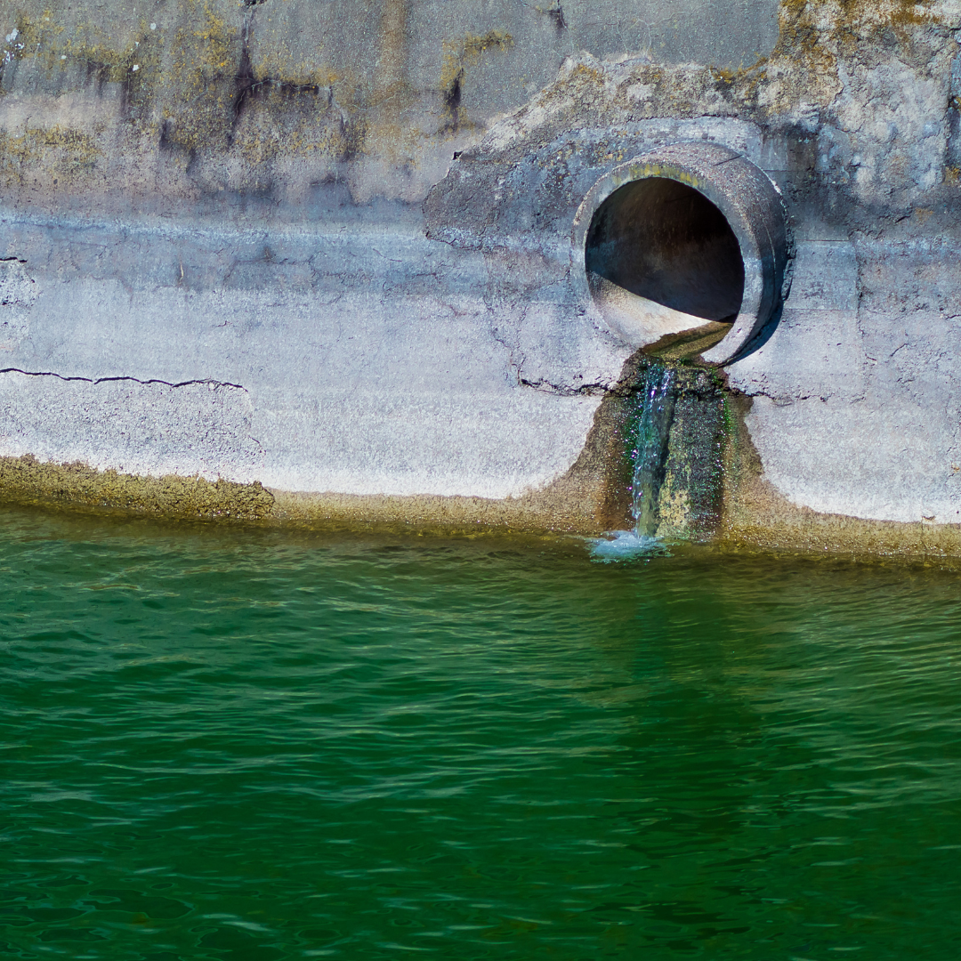 Ab gehts mit Abwasser