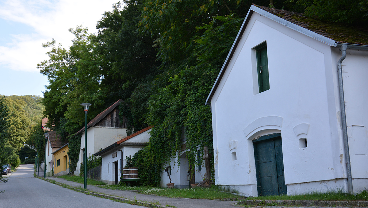 Bisamberg 1200px