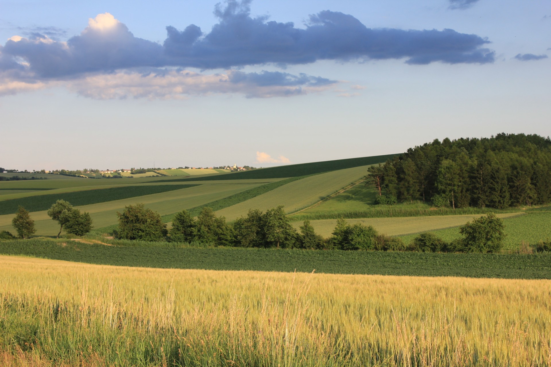 © AdobeStock - flowb0 Gross Enzersdorf