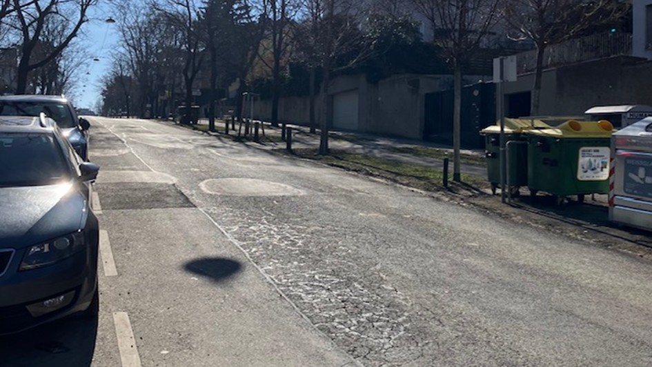 Alsegger Straße.png