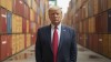 KI-generiertes Bild von Donald Trump mit unzähligen Frachtcontainern im Hintergrund