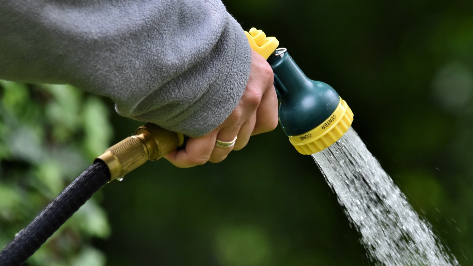 Garten bewässern bei Hitze: So übersteht Ihr Garten den Hitzesommer mit weniger Wasser