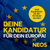 EU-Wahl 2024 Kandidatur - Deine Kandidatur