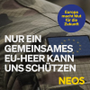 Nur ein gemeinsames EU Heer kann uns schützen