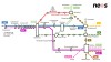 Öffikonzept Linienplan Wien West