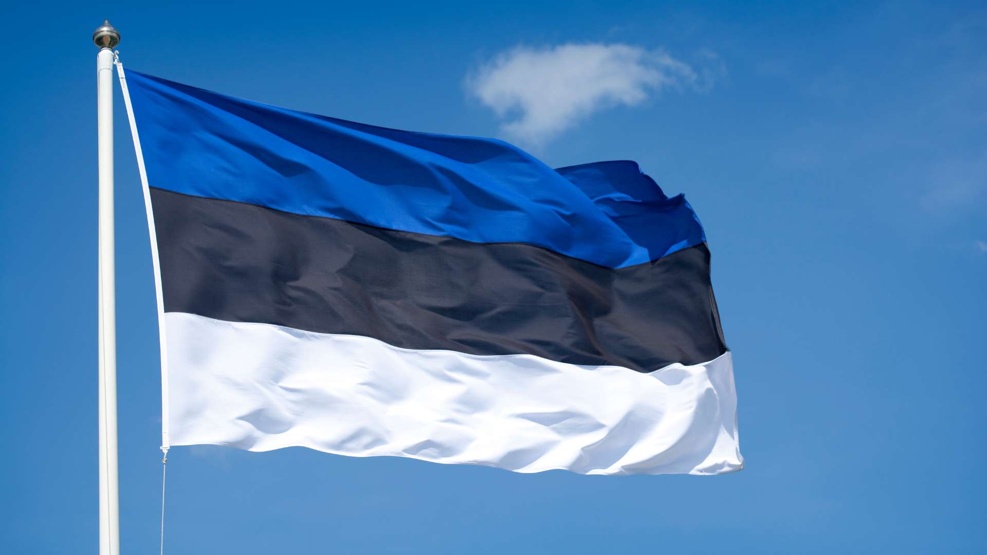 Wie-liberal-ist-.-Estland
