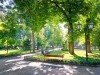 AdobeStock 116353621 Preview-889x667