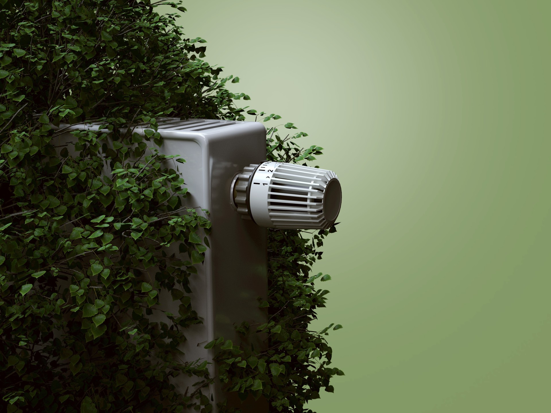 AdobeStock 193324751-4002x3000