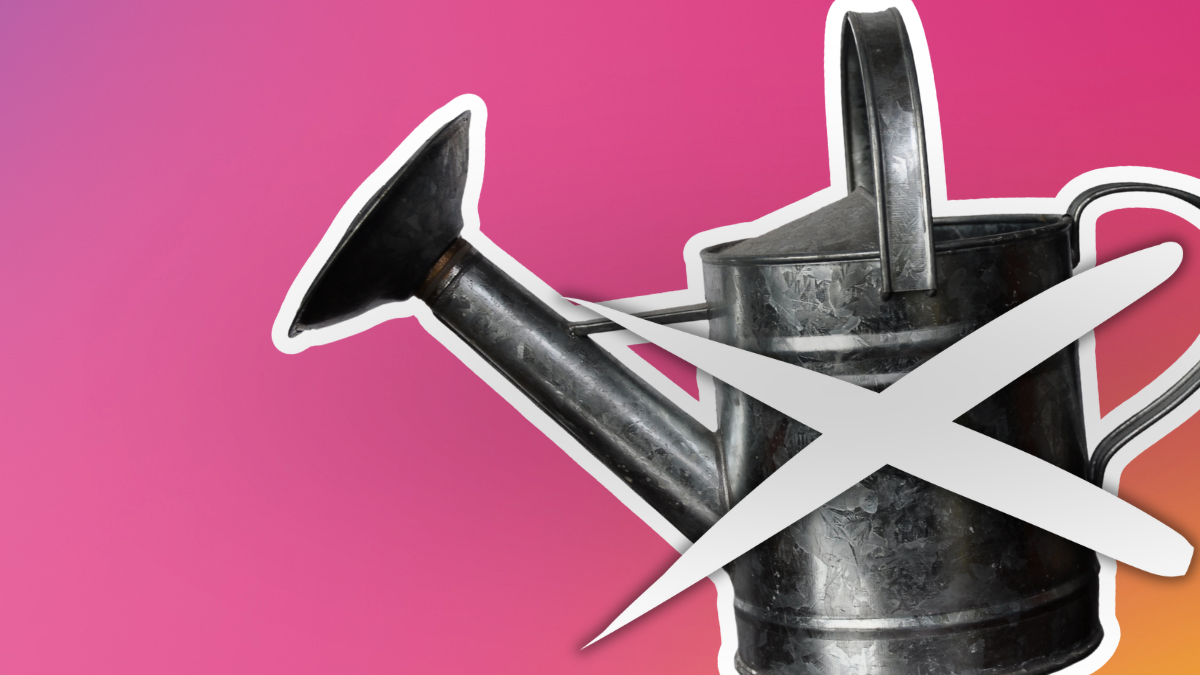 NL Header (1)-1200x675