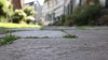 © Pixabay open_eyes-road-5339155_1920.jpg