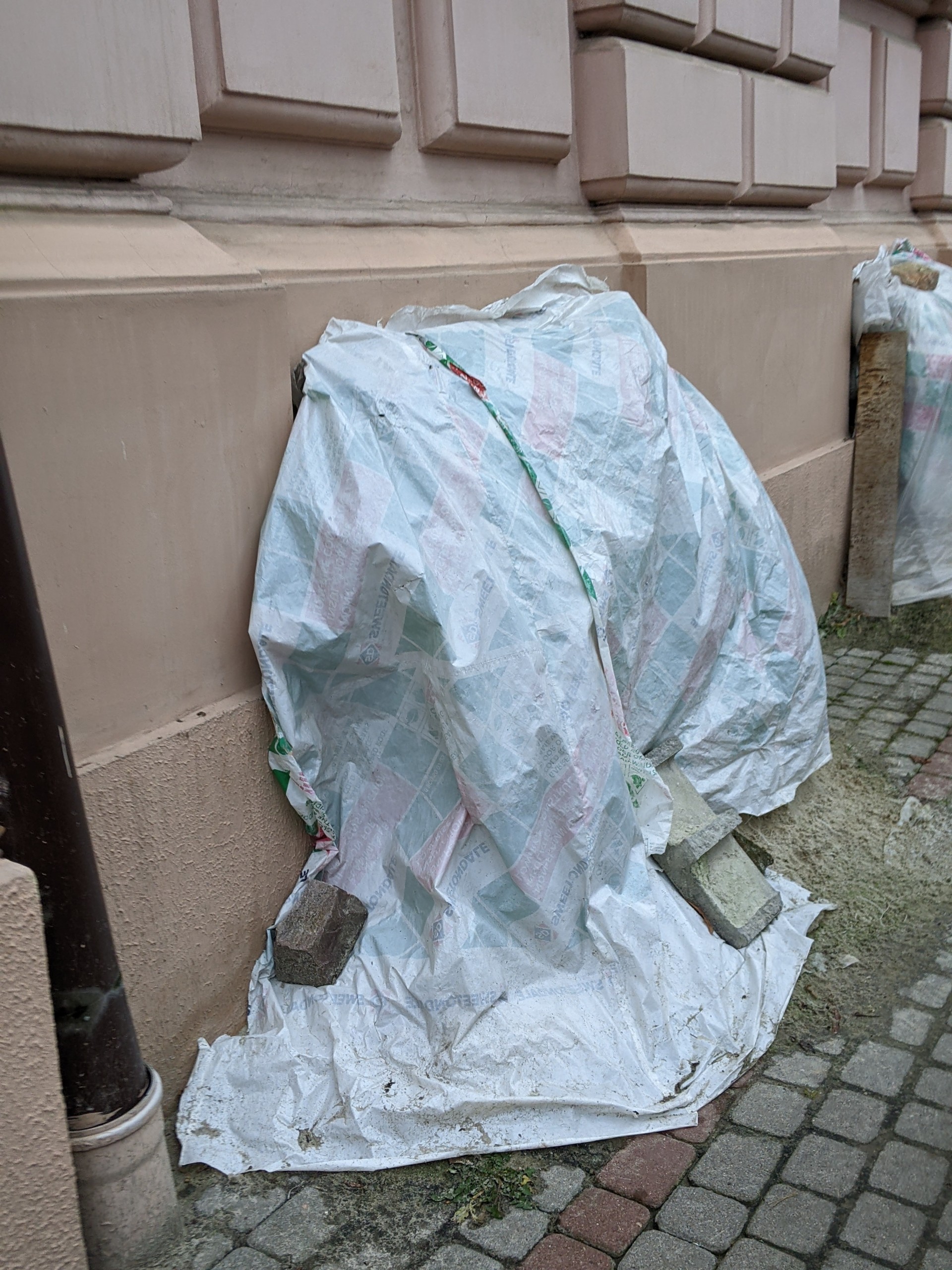 PXL 20251128 084912154