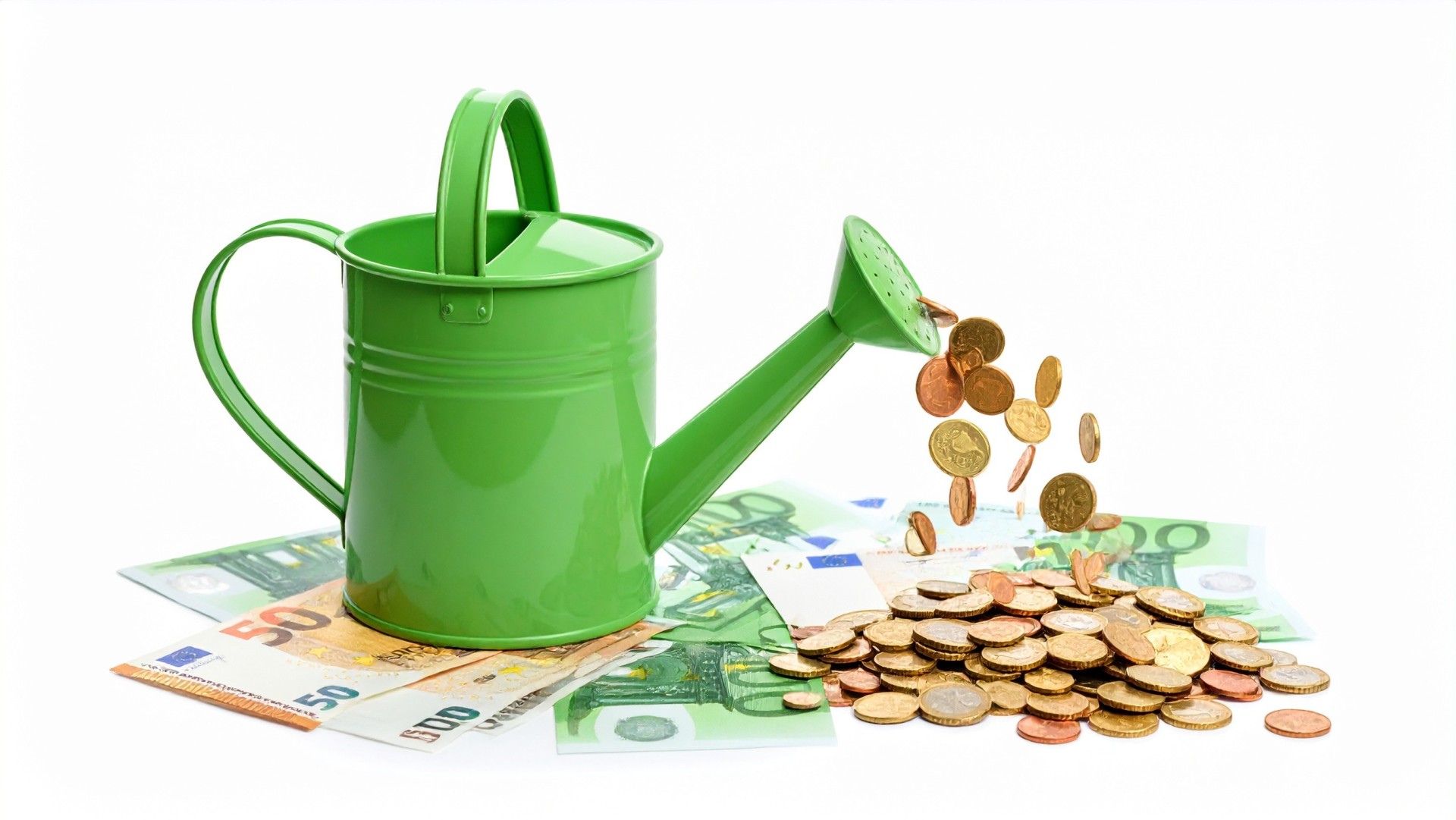 Grüne Budget-Bilanz